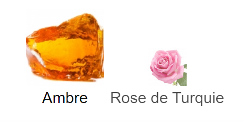 Notes olfactives tête coeur fond Christian Dior Collection Privee Ambre Nuit 250mL ambre rose turquie