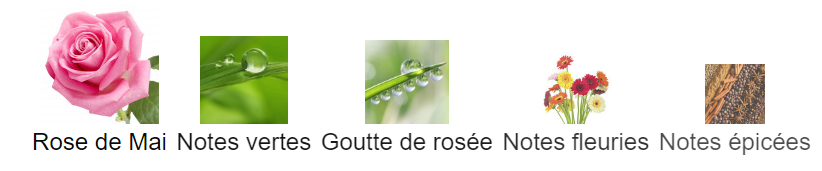 Rose Gipsy - Décant