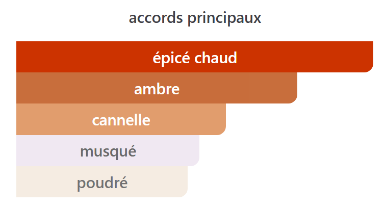 Ambre Nuit Esprit de Parfum - Décant