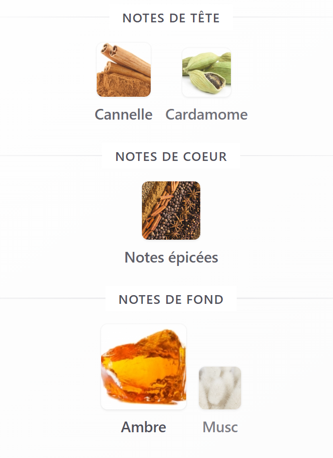 Ambre Nuit Esprit de Parfum - Décant