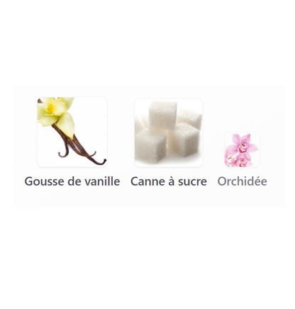 Sucre Noir - Décant
