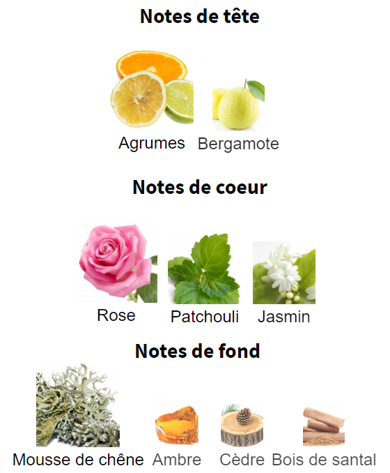 Notes Pyramide Olfactive Parfum Gris Dior Christian Dior Collection Privée Agrumes Bergamote Rose Patchouli Jasmin Mousse de Chêne Ambre Cèdre Bois de Santal