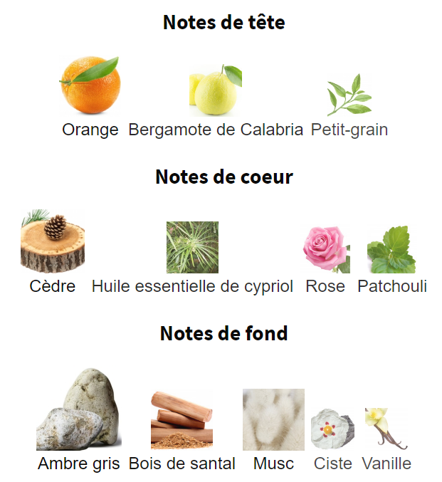 Notes olfactives Acqua di Parma Ambra