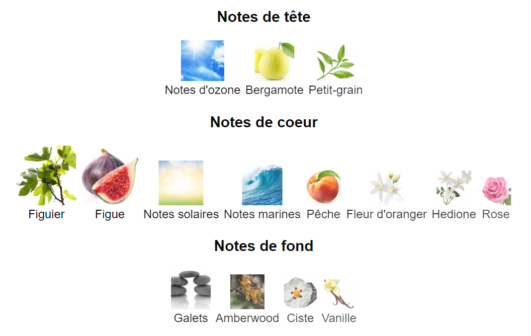 Notes olfactives tête coeur fond Balade Sauvage Dior Collection Privée ozone petit grain bergamote figue solaire marine peche fleur oranger hedione rose galet ambre ciste vanille