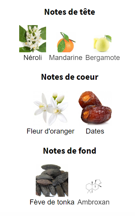 Notes olfactives tête coeur fond YSL Yves Saint Laurent Atlas Garden Neroli Mandarine Bergamote Fleur Oranger Dattes Feve Tonka Amboxan
