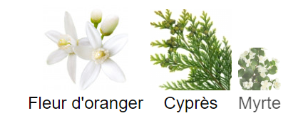 Terra Bella - Decant