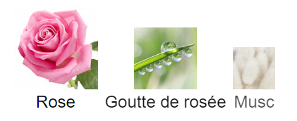 Rose Kabuki - Decant